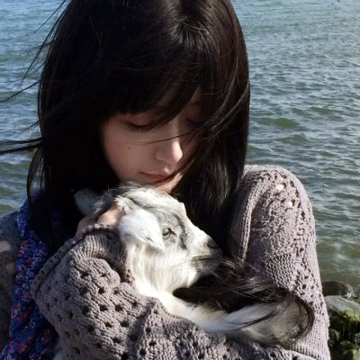 犬牙交错