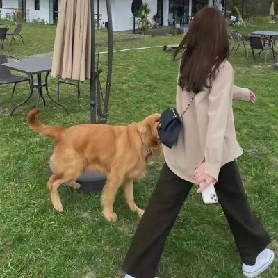 再见吾爱